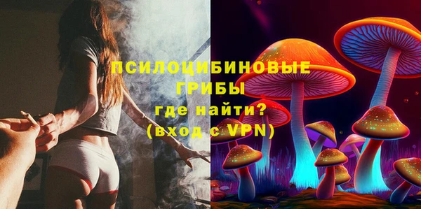 синтетический гашиш Алексин