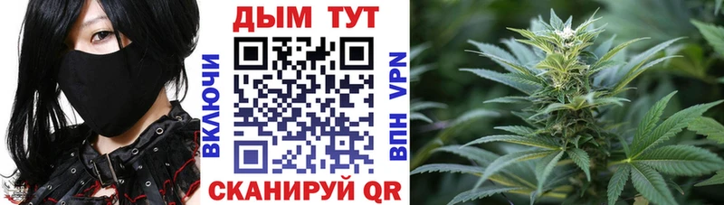 Шишки марихуана конопля  Менделеевск 